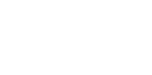 White RV
